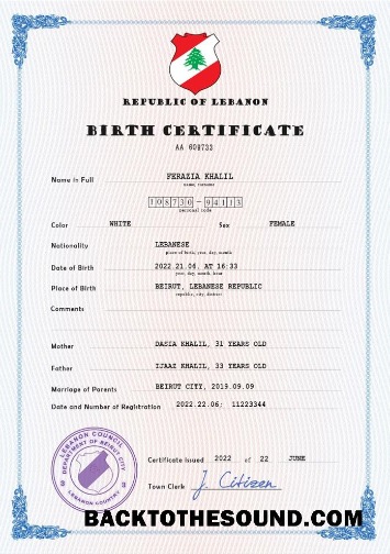 İndir Lübnan vital record doğum Sertifika PSD Örnek örnek