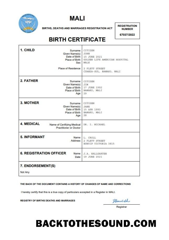 İndir Mali vital record doğum Sertifika Word and PDF Örnek şablon