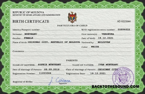 İndir Moldova vital record doğum Sertifika PSD Örnek tasarım
