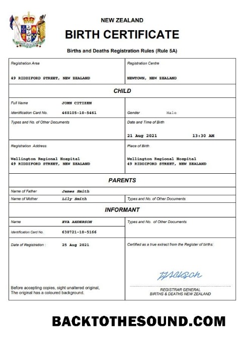 İndir Yeni Zelanda doğum Sertifika Word and PDF Örnek ön izleme