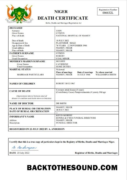 İndir Nijer ölüm Sertifika Word and PDF Örnek ön izleme