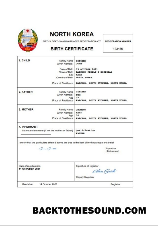 İndir Kuzey Kore doğum Sertifika Word and PDF Örnek ön izleme