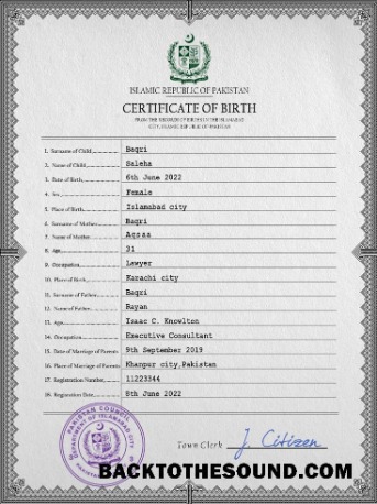 İndir Pakistan vital record doğum Sertifika PSD Örnek ön izleme