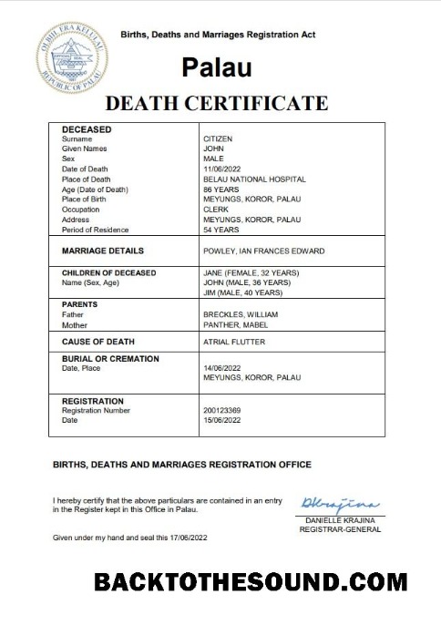 İndir Palau vital record ölüm Sertifika Word and PDF Örnek örnek