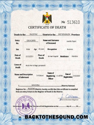 İndir Filistin vital record ölüm Sertifika PSD Örnek şablon