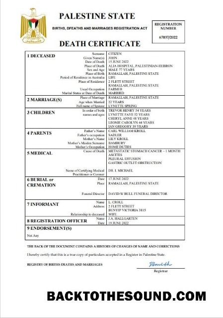 İndir Filistin vital record ölüm Sertifika Word and PDF Örnek şablon