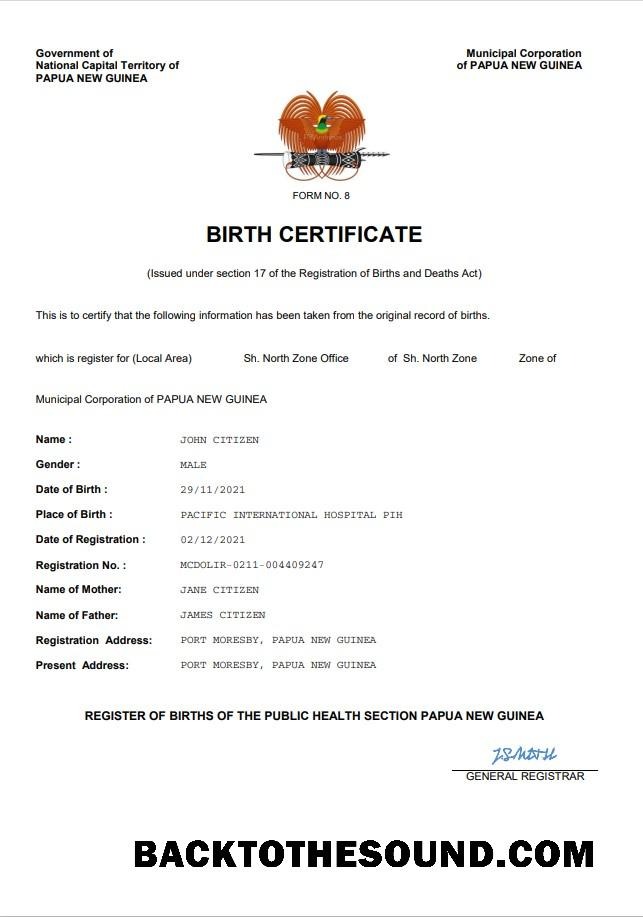 İndir Papua Yeni Gine vital record doğum Sertifika Word and PDF Örnek tasarım