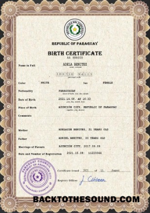 İndir Paraguay vital record doğum Sertifika PSD Örnek ön izleme