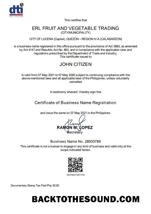 İndir Filipinler Department of Trade and Industry (DTI) private interprenour Örnek ön izleme