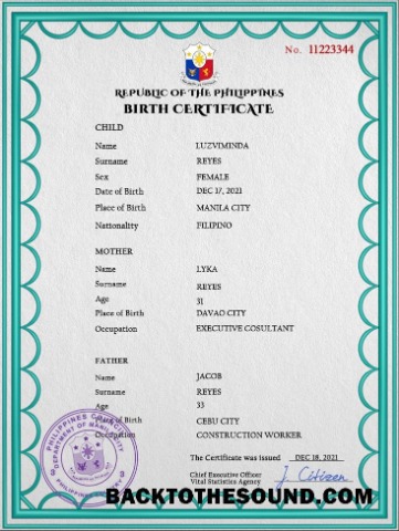 İndir Filipinler doğum Sertifika PSD Örnek tasarım
