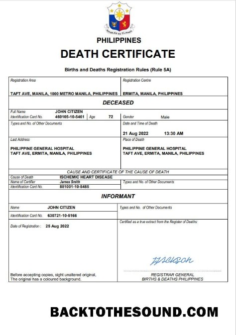 İndir Filipinler vital record ölüm Sertifika Word and PDF Örnek şablon