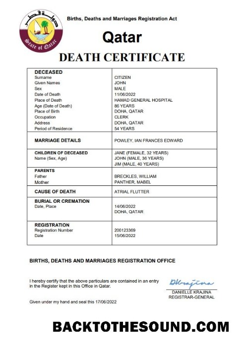 İndir Katar vital record ölüm Sertifika Word and PDF Örnek tasarım