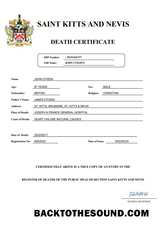 İndir Saint Kitts and Nevis vital record ölüm Sertifika Word and PDF Örnek tasarım