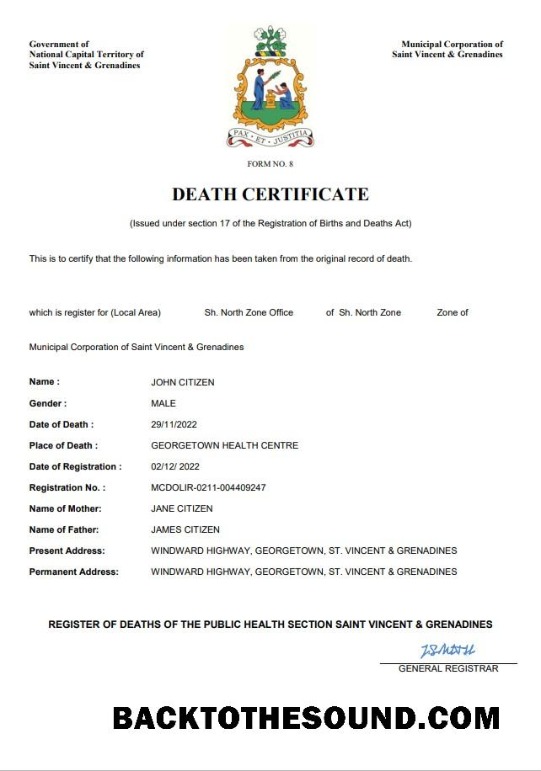 İndir Saint Vincent and the Grenadines vital record ölüm Sertifika Word and PDF Örnek ön izleme