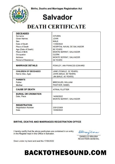 İndir Salvador vital record ölüm Sertifika Word and PDF Örnek örnek