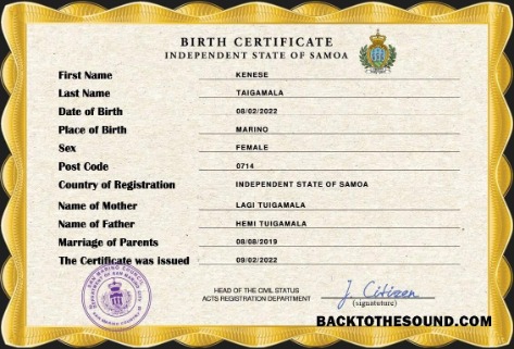 İndir Samoa vital record doğum Sertifika PSD Örnek ön izleme