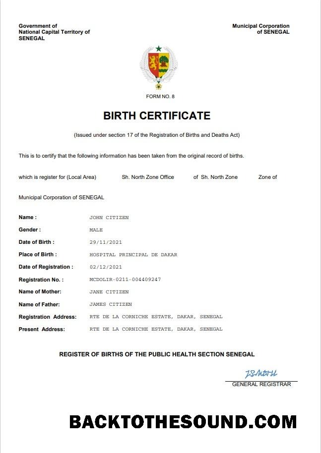 İndir Senegal vital record doğum Sertifika Word and PDF Örnek şablon