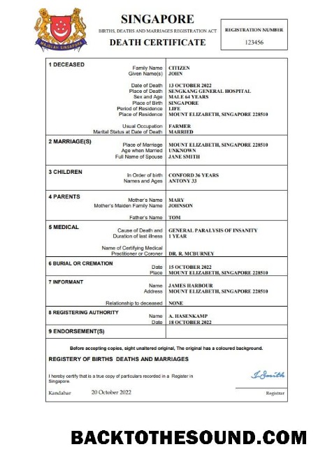 İndir Singapur vital record ölüm Sertifika Word and PDF Örnek şablon