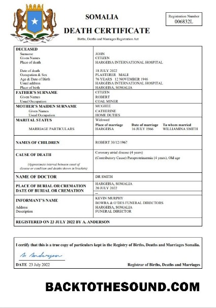 İndir Somali vital record ölüm Sertifika Word and PDF Örnek örnek