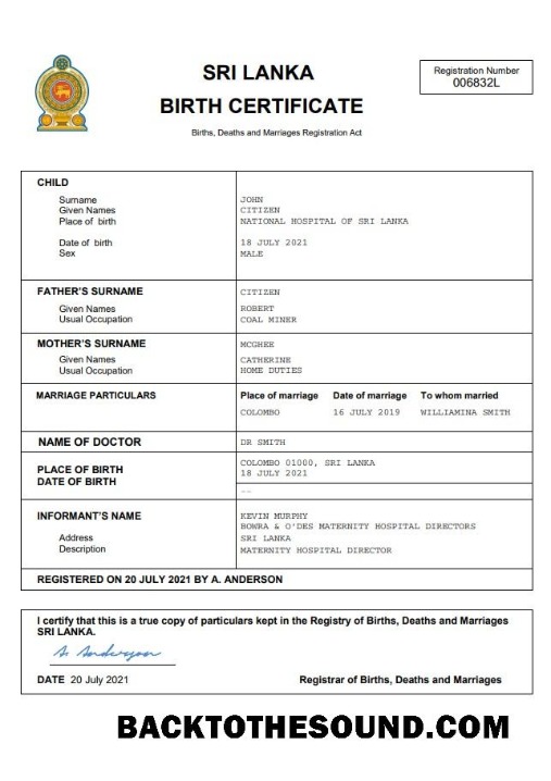 İndir Sri Lanka vital record doğum Sertifika Word and PDF Örnek ön izleme