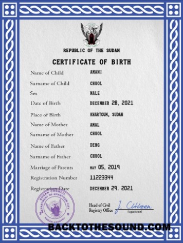 İndir Sudan vital record doğum Sertifika PSD Örnek şablon