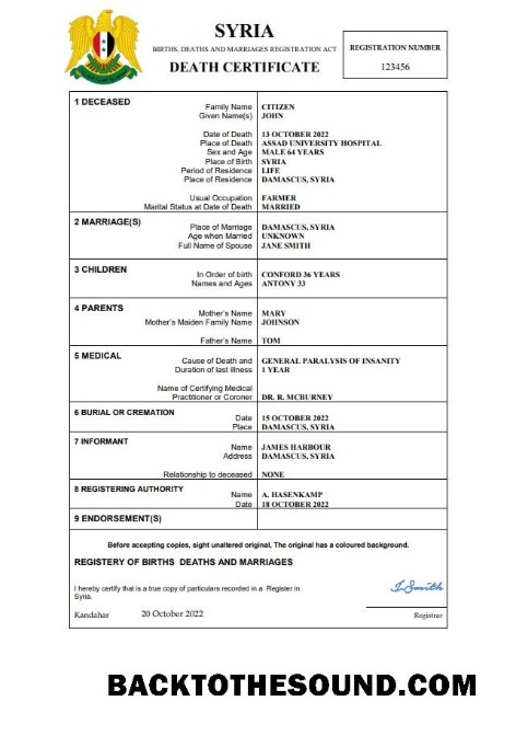İndir Suriye vital record ölüm Sertifika Word and PDF Örnek tasarım
