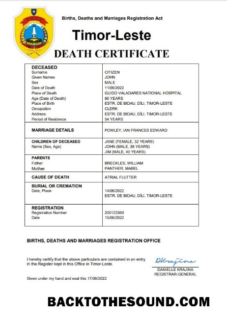 İndir Timor Leste vital record ölüm Sertifika Word and PDF Örnek örnek