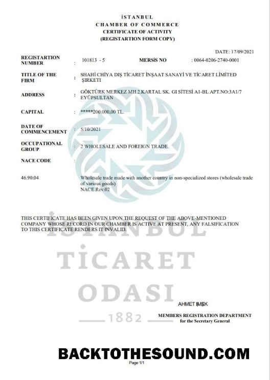 İndir Türkiye Istanbul Sertifika of Activity in Word and PDF Format Örnek taslak
