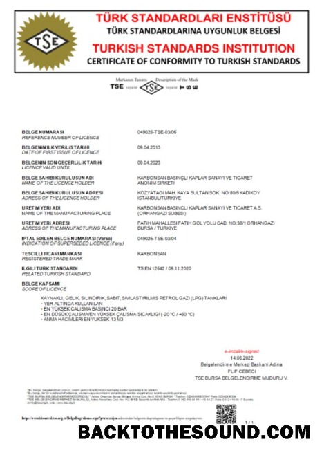 İndir Türkiye Turkish standart Institution Sertifika of comformity to turkish standards Word and PDF scr Örnek ön izleme