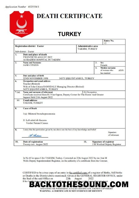 İndir Türkiye vital record ölüm Sertifika Word and PDF Örnek örnek