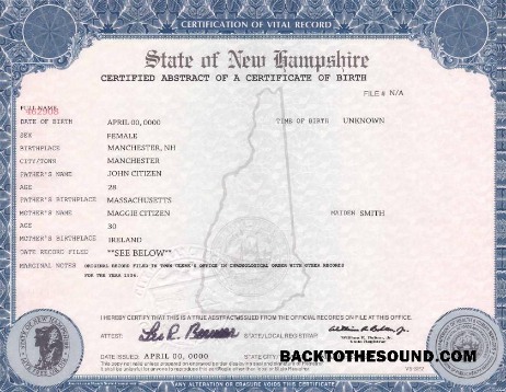 İndir ABD Yeni Hampshire doğum cert Örnek tasarım