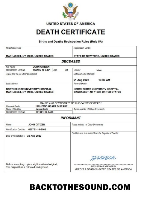 İndir ABD vital record ölüm Sertifika Word and PDF Örnek ön izleme