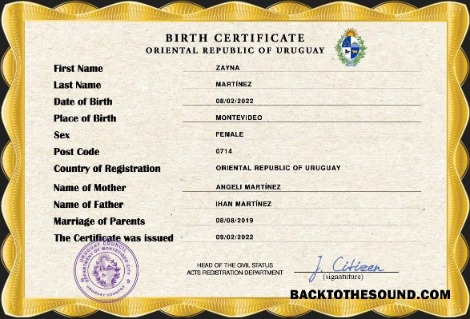 İndir Uruguay vital record doğum Sertifika PSD Örnek ön izleme