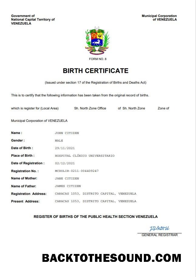 İndir Venezuela vital record doğum Sertifika Word and PDF Örnek tasarım
