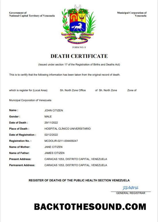 İndir Venezuela vital record ölüm Sertifika Word and PDF Örnek örnek