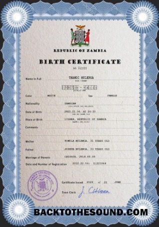 İndir Zambiya vital record doğum Sertifika PSD Örnek şablon