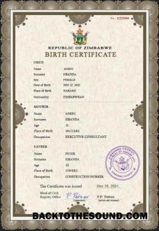 İndir Zimbabve vital record doğum Sertifika PSD Örnek taslak