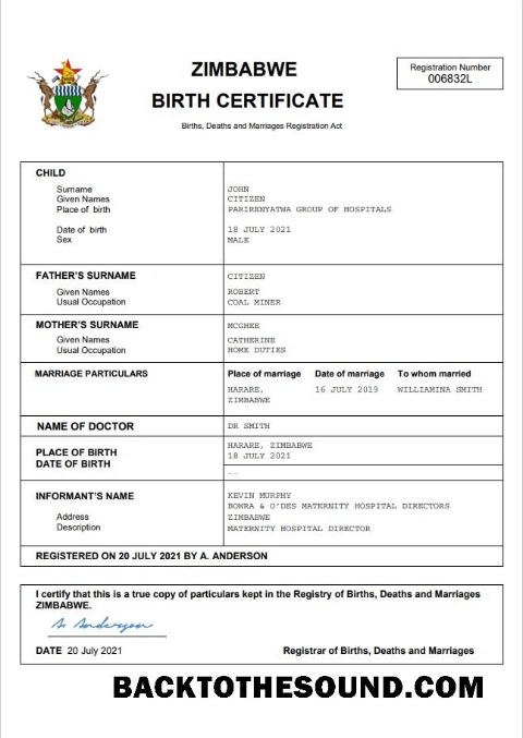 İndir Zimbabve vital record doğum Sertifika Word and PDF Örnek tasarım