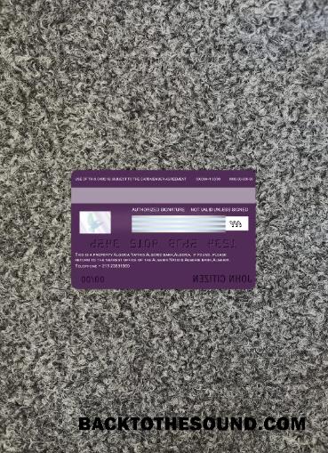İndir Cezayir Natixis algerie Banka Vize Kart foto-görünüm Arka Örnek şablon