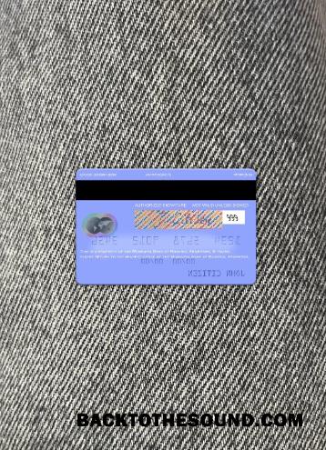İndir Arjantin Municipal Banka of Rosario Mastercard foto-görünüm Arka Örnek şablon