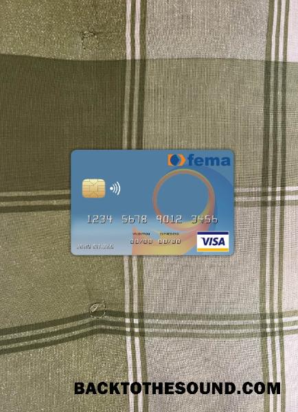 İndir Benin Fema Banka Vize Kart foto-görünüm Ön Örnek örnek