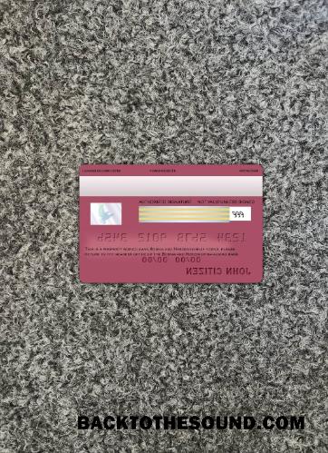 İndir Bosna Hersek Addiko Banka Vize Kart foto-görünüm Arka Örnek örnek