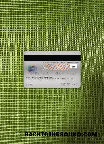 İndir Çin Merchants Banka master Banka Kart foto-görünüm Arka Örnek taslak