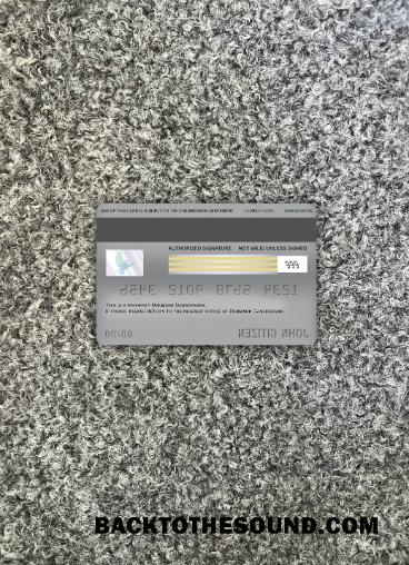 İndir Danimarka Danskebank Vize Banka Kart foto-görünüm Arka Örnek tasarım