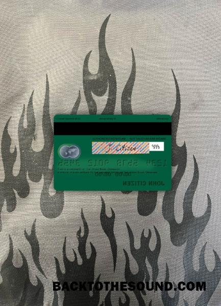 İndir Danimarka Jyske Banka Mastercard foto-görünüm Arka Örnek ön izleme