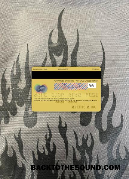 İndir Mısır Banka of Alexandria Mastercard foto-görünüm Arka Örnek örnek