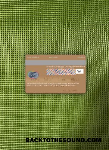 İndir Gambiya Arab Gambiya Islamic Banka Mastercard foto-görünüm Arka Örnek şablon
