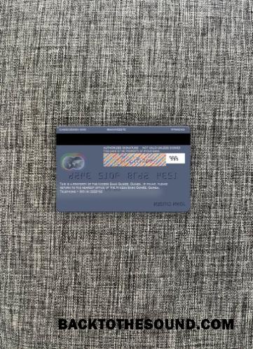 İndir Gine erişim Banka Guinée Mastercard foto-görünüm Arka Örnek örnek