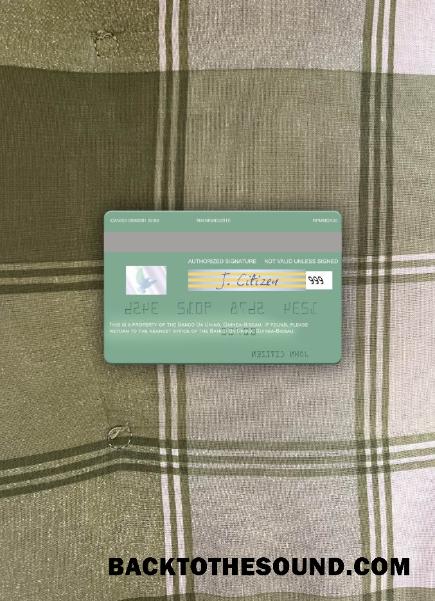 İndir Gine Bissau Banco Da Uniao Vize Banka Kart foto-görünüm Arka Örnek örnek