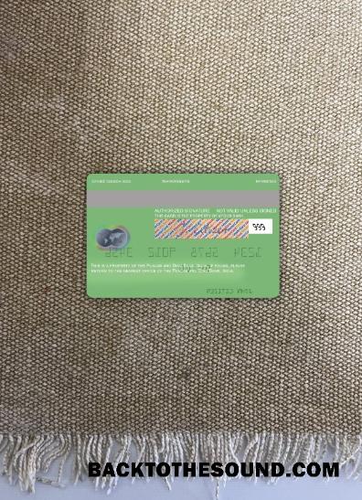 İndir Hindistan Punjab and Sind Banka Mastercard foto-görünüm Arka Örnek örnek